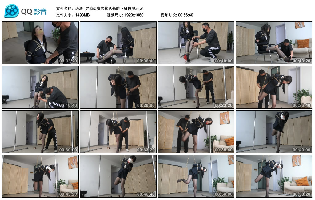 【逍遥】定拍治安官柳队长的下班惊魂_绳缚吧