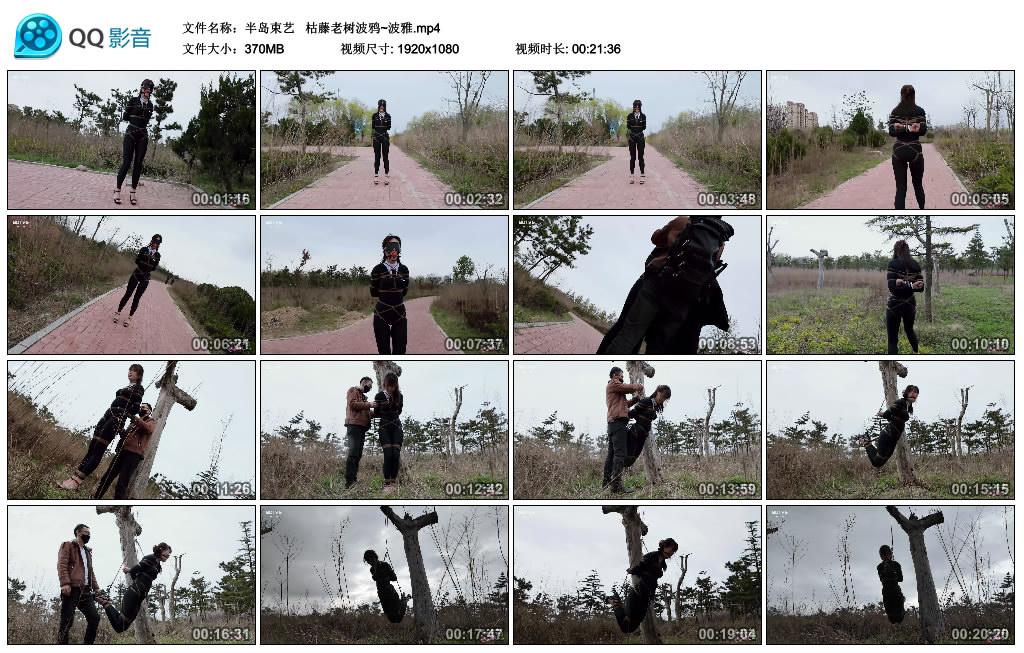 【半岛束艺】枯藤老树波鸦~波雅_绳缚吧