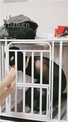 图片[2]-兰芯大人】狗笼囚禁强制舔脚-绳艺资源网