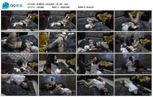 【胜景影视】古玩家秘密（第三集）_绳缚吧