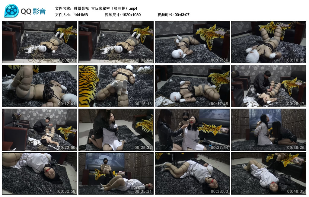 【胜景影视】古玩家秘密（第三集）_绳缚吧