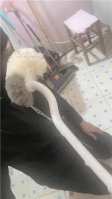 图片[6]-小月牙】训练厕奴-踩踏/头压马桶/口水吐脸/赏赐圣水/胶带裹脸-绳艺资源网