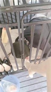 【bibi团】狗笼圈养囚禁/人体鞋架/伺候沐足_绳缚吧