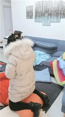 图片[6]-朱迪女王】刑讯逼供偷原味的狗下】双视角版-绳艺资源网