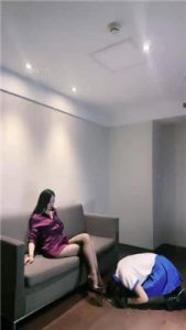 【司宁青】母畜_绳缚吧