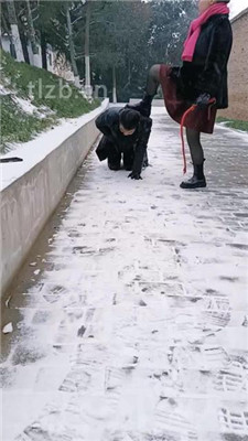 图片[2]-乐爷】野外-冰天雪地-遛狗