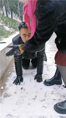 图片[3]-乐爷】野外-冰天雪地-遛狗