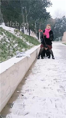 图片[7]-乐爷】野外-冰天雪地-遛狗