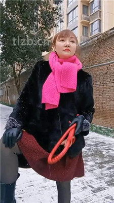图片[9]-乐爷】野外-冰天雪地-遛狗