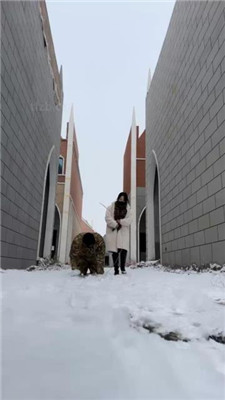 【辣姐】冰天雪地虐狗被路人偶遇_绳缚吧