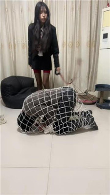 图片[4]-苏西】重刑-把狗装网里重度虐打