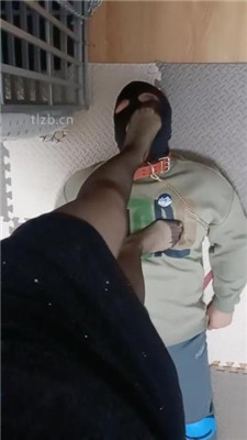 图片[15]-平凡】实录-圈养犬化奴隶专场中】