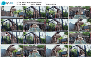 【半岛束艺】澡堂的第五位客人~布玛_绳缚吧