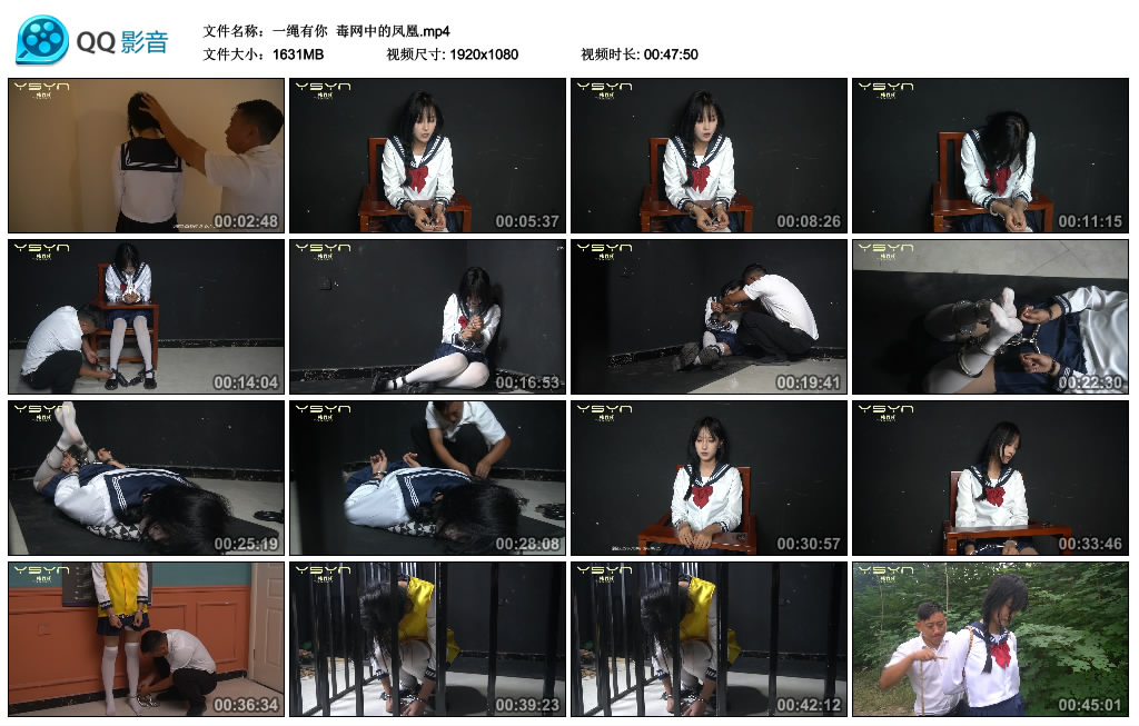 【一绳有你】毒网中的凤凰_绳缚吧