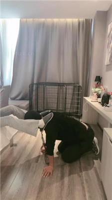图片[7]_小雅老师】狗笼圈养犬化绿帽前任下】