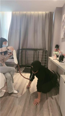 图片[10]_小雅老师】狗笼圈养犬化绿帽前任下】
