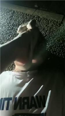 诗琪户外物化坐垫/清理脏鞋/碾压踩狗脸 bf43004 网友原创 第9张