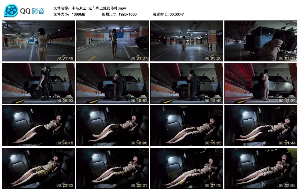 【半岛束艺】 逛车库上瘾的落叶_绳缚吧