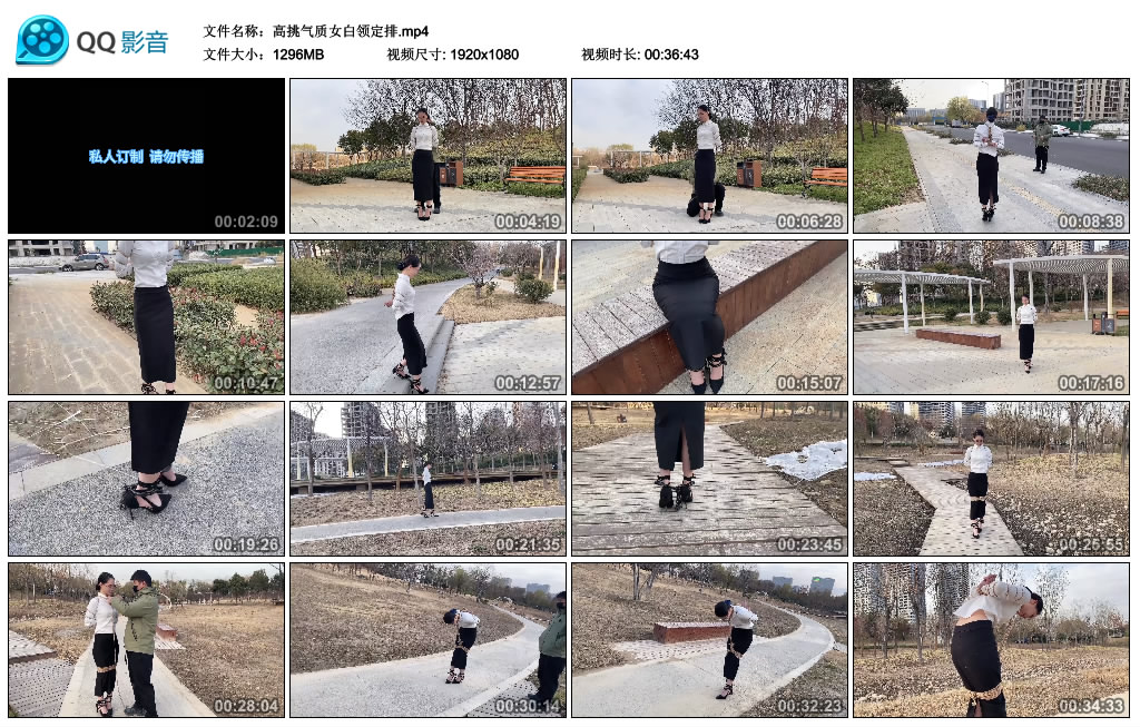 高挑气质女白领定排_绳缚吧