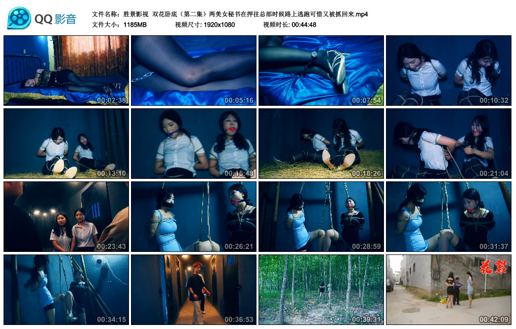 【胜景影视】 双花卧底（第二集）_绳缚吧