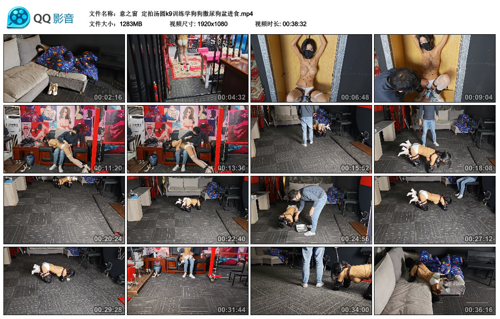 【意之窗】 定拍汤圆k9训练学狗狗撒尿狗盆进食_绳缚吧
