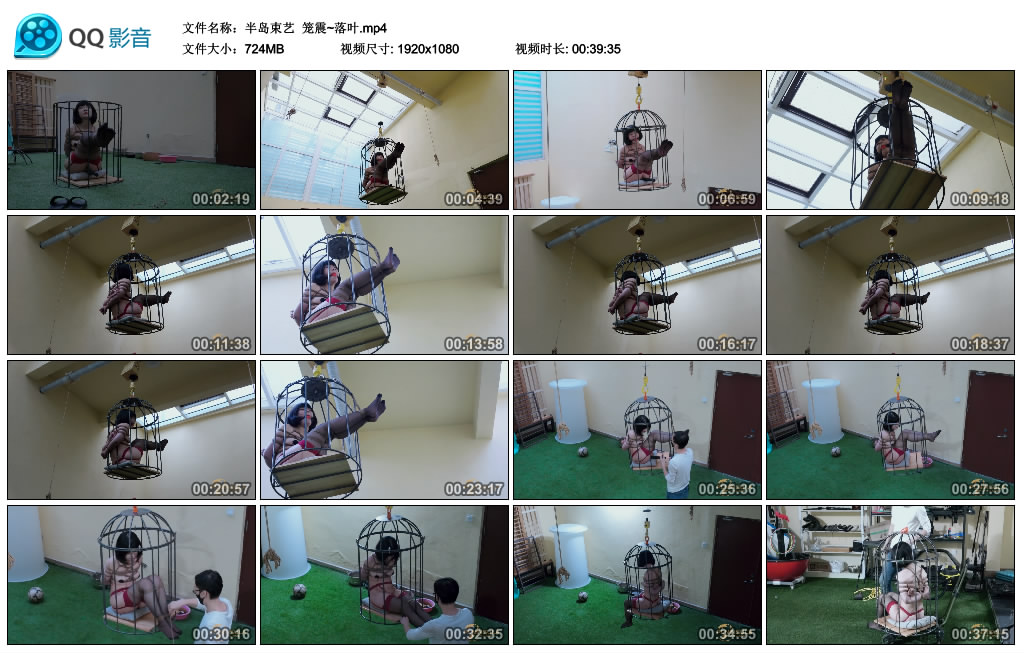 【半岛束艺】 笼震~落叶_绳缚吧