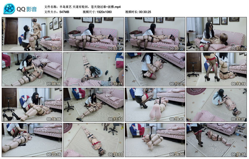 【半岛束艺】天道有轮回，苍天饶过谁~波雅_绳缚吧