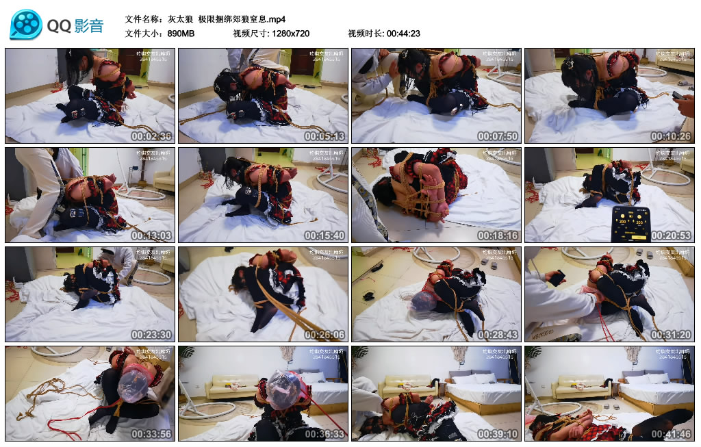 【灰太狼】 极限捆绑郊狼窒息_绳缚吧