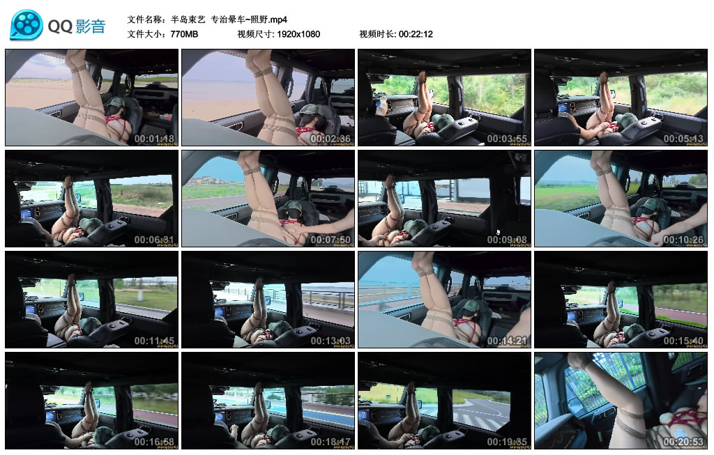 【半岛束艺】 专治晕车~照野_绳缚吧