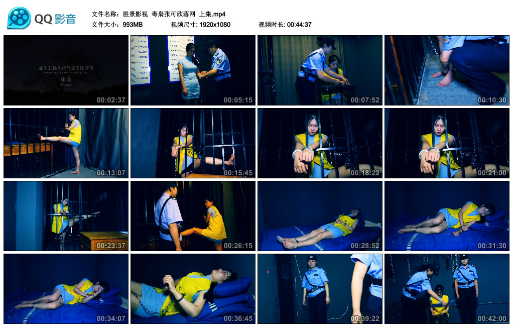 【胜景影视】 毒枭张可欣落网  上集_绳缚吧