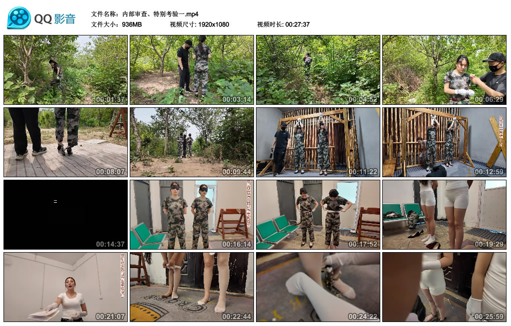 【李大侠】内部审查、特别考验一_绳缚吧
