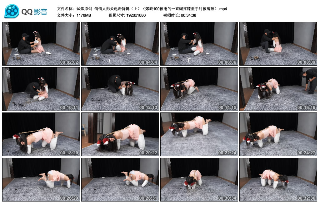 【试炼原创】 倩倩人形犬电击特辑（上）郊狼100被电的一直喊疼膝盖手肘被磨破_绳缚吧