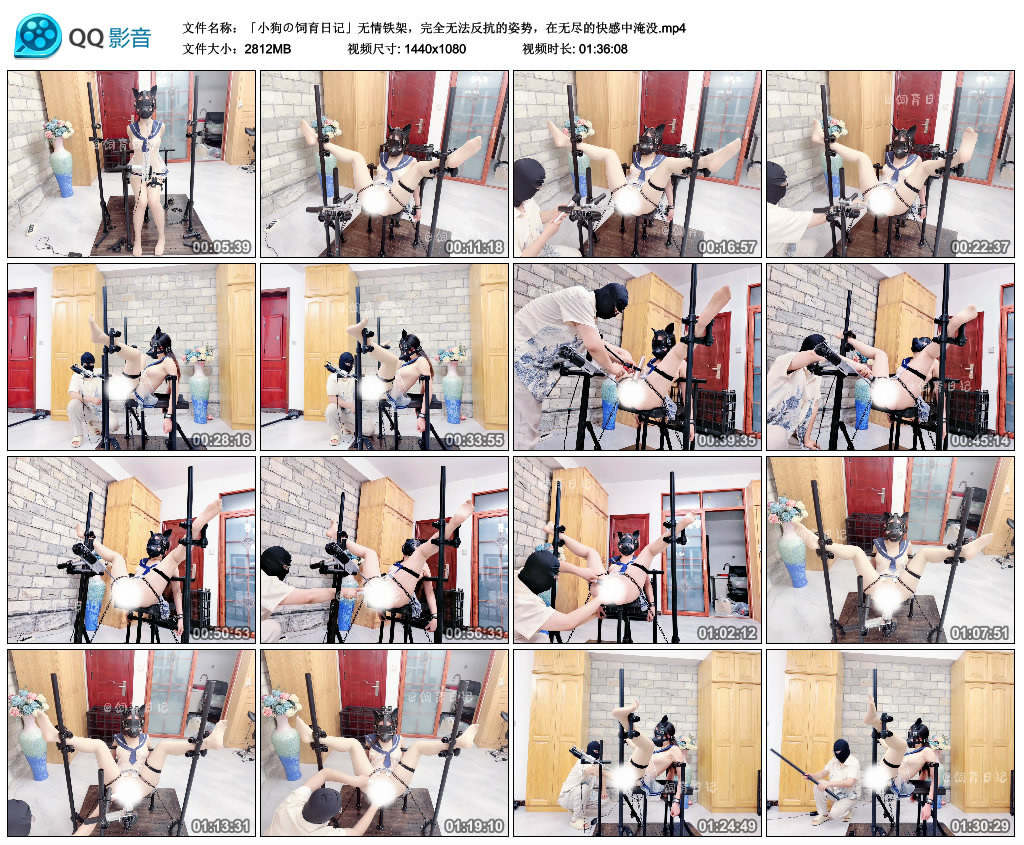 小狗の饲育日记-无情铁架，完全无法反抗的姿势，在无尽的快感中淹没_绳缚吧